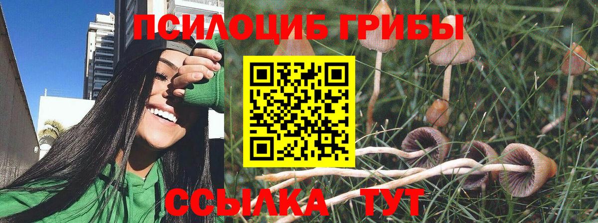 Туймазы  Псилоцибиновые грибы Magic Shrooms  Вход с VPN 
